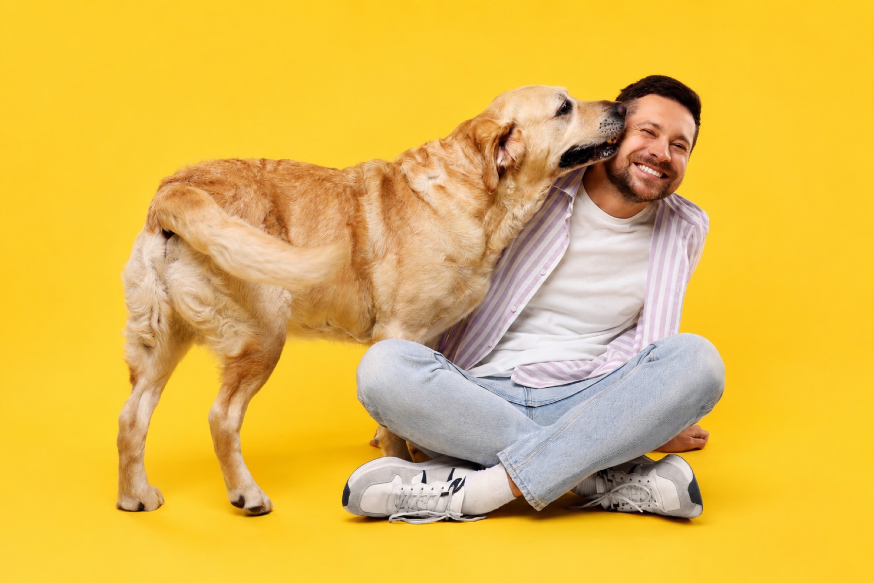 A smiling pet owner with an adult Labrador Retriever