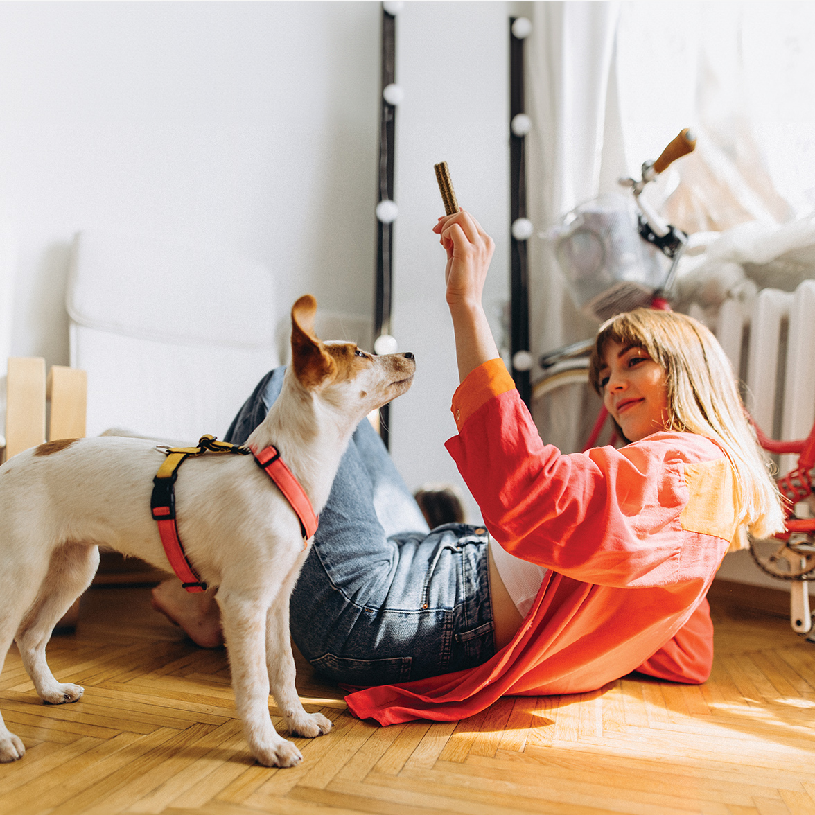 A pet owner relaxing at home with their dog